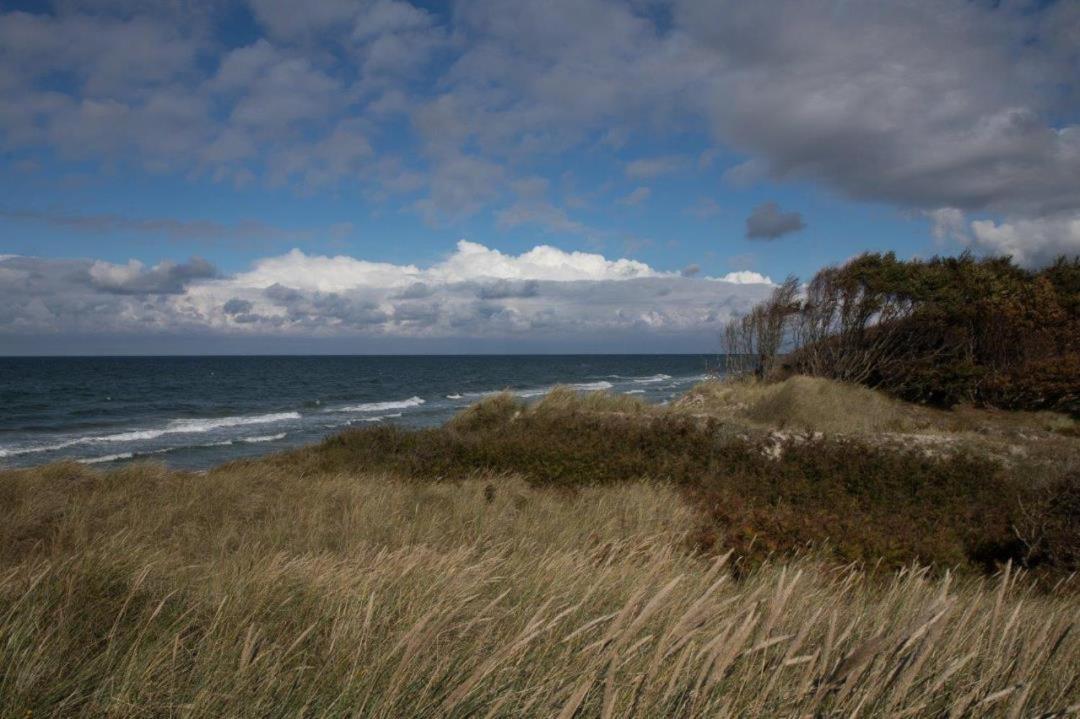 Studio 11 Im Haus Stranddistel, Modernes Studio Im 1 Og Fur 2 Personen In Zingst Bagian luar foto